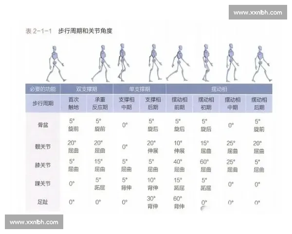 以体能管理为核心的全周期健康提升与运动表现优化新路径探索